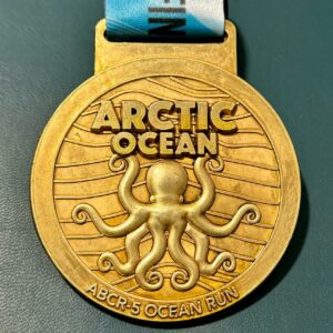 Arctic Ocean (ANYTIME & ANYDAY)